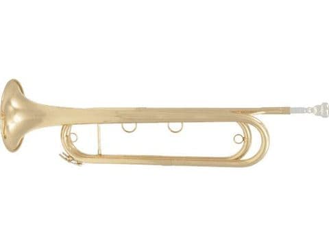 TROMPETA NATURAL MIB  FTPC91-L