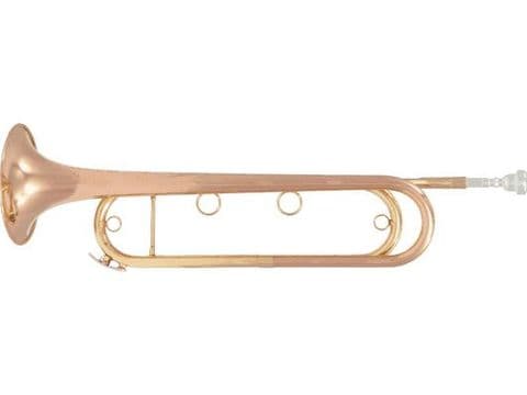 TROMPETA NATURAL MIB FTPC91-R