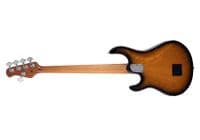 STINGRAY SPECIAL 5St HH - ARCE "ROASTED"/ROSEWOOD - VINTAGE TOBACCO (2)