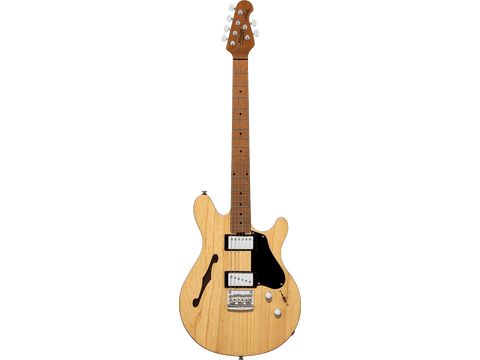 GUITARRA ELÉCTRICA SEMI HOLLOW VALENTINE JV60 HS RM/M - Natural