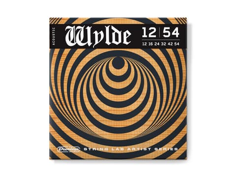 JUEGO GUITARRA ACÚSTICA ZAKK WYLDE 12-54